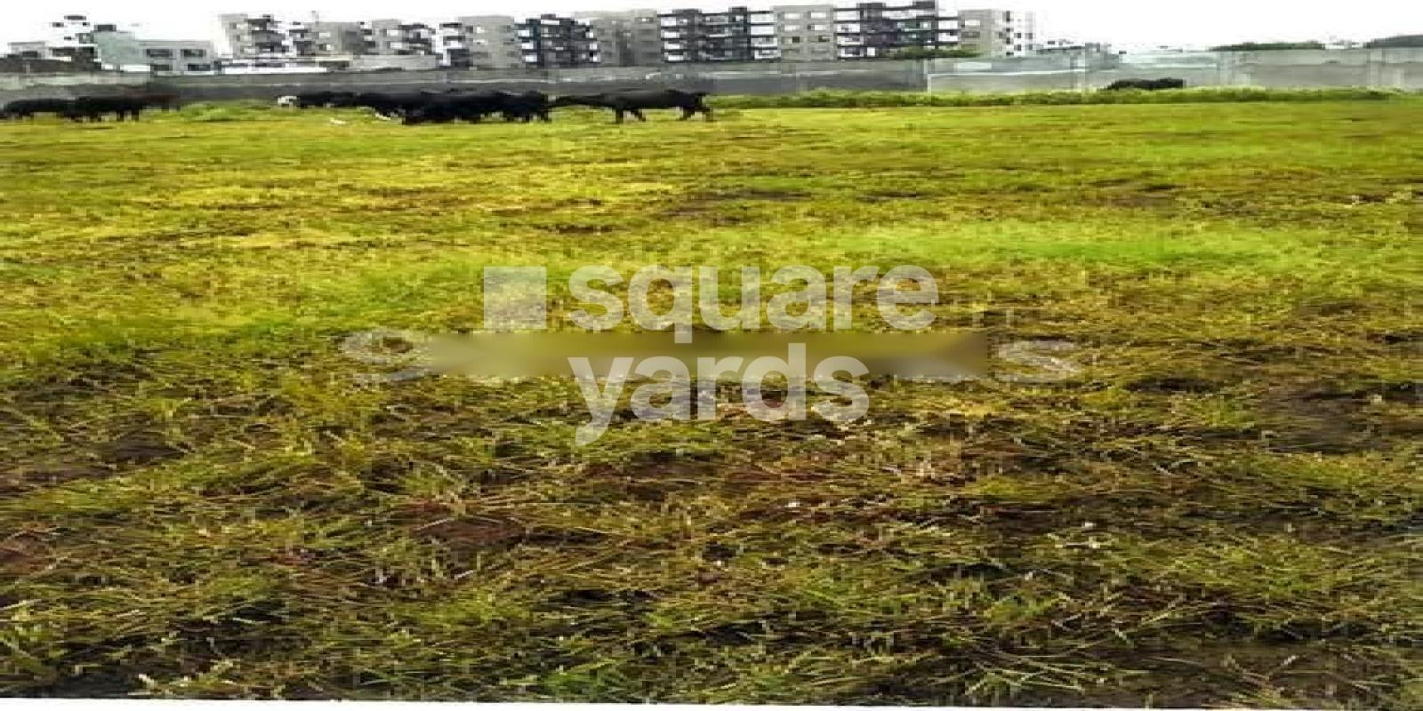 J And J Liberty Elegance