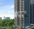 MDs Landmark Universe