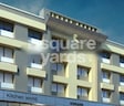 Milestone Silver Palm