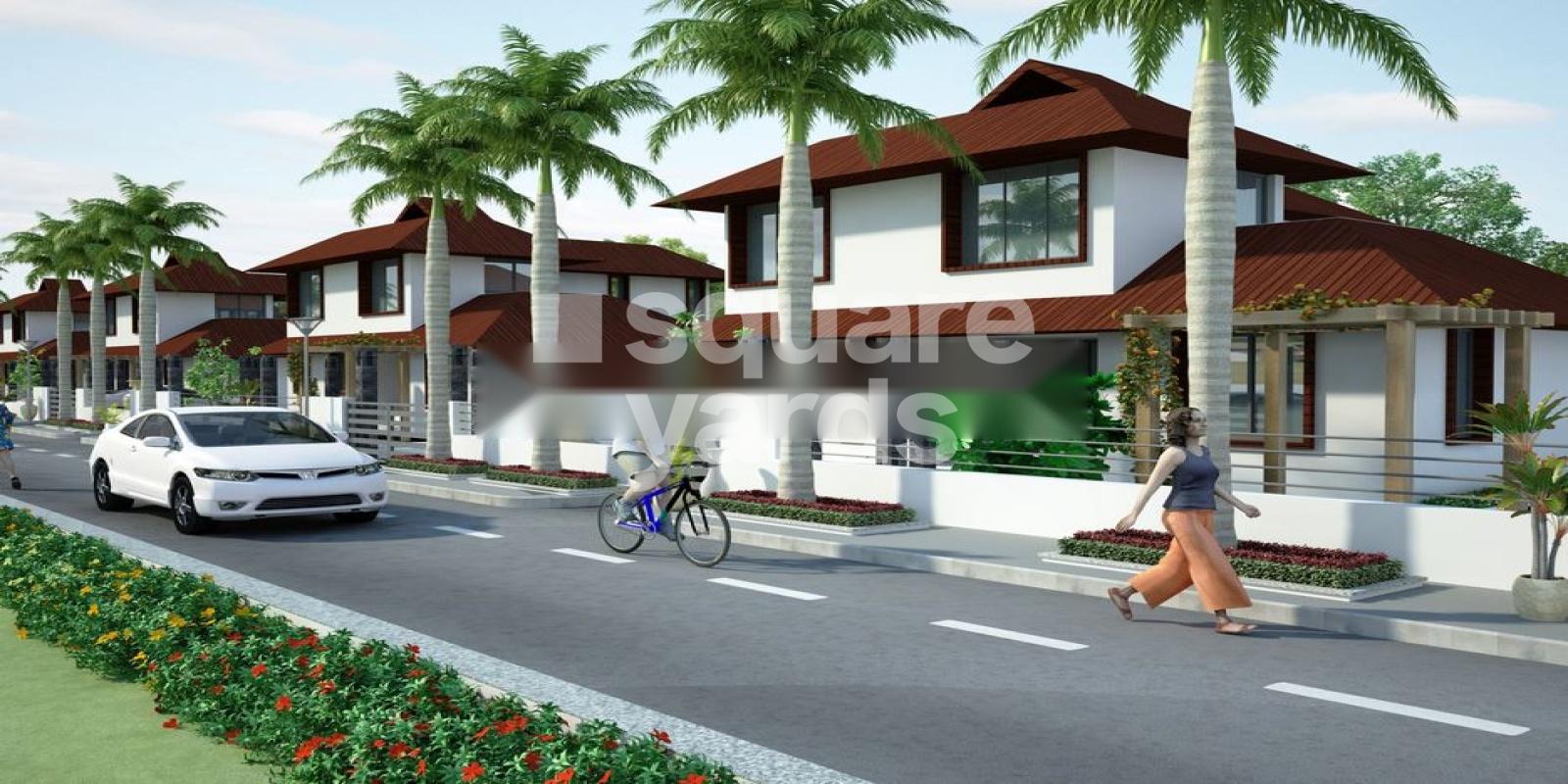 Sai Green Paradise