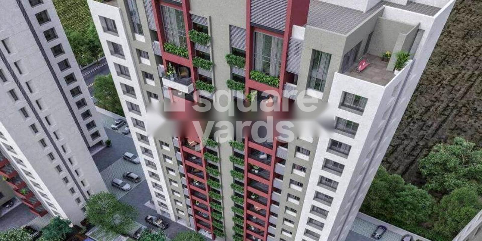 Shaligram The Pursuit Of Happiness