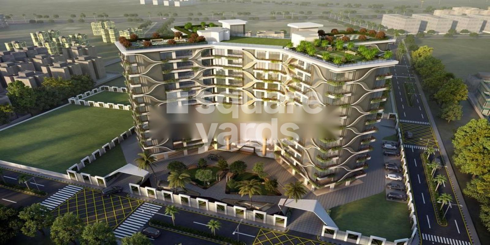 Shilpraj Coconut Featured Image