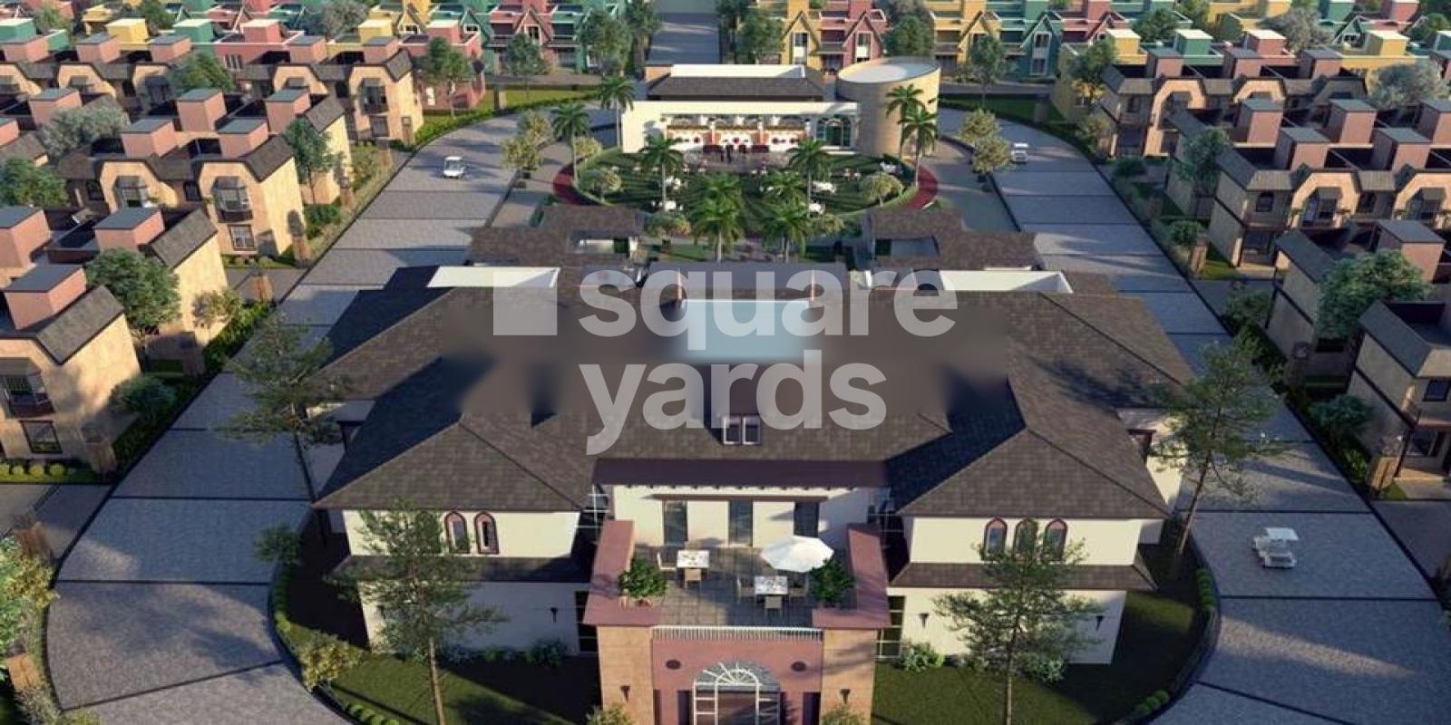 The New Heaven Gold Featured Image