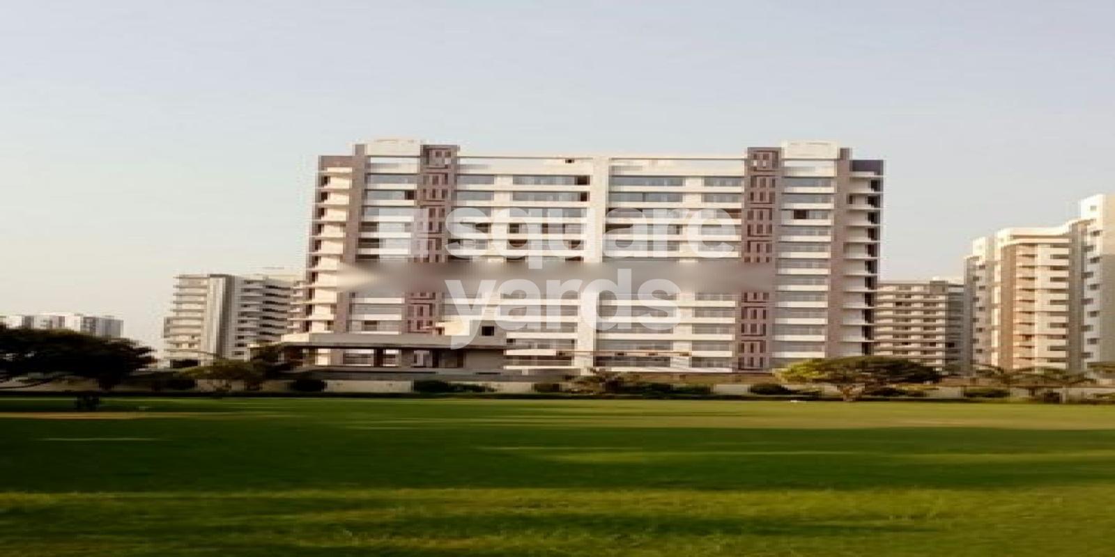 White Wings Flamingo Featured Image