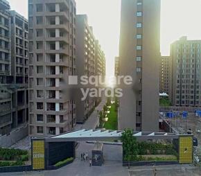Avadh Carolina