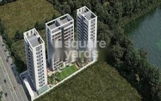 DMD Signus Featured Image