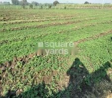 Eleganza Homes Featured Image