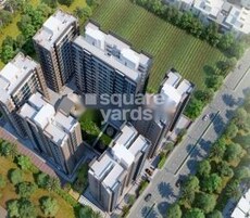 Green Tulip Featured Image