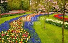 Happy Floriana Featured Image