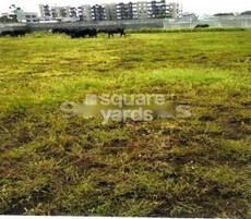 J And J Liberty Elegance Featured Image