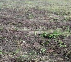 Marbella Willos Featured Image