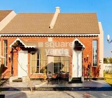 Nirvana Gladiolus Featured Image