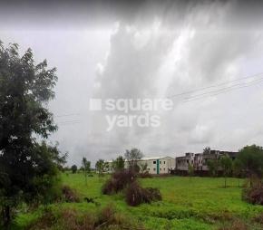 Pearl City 3 Featured Image