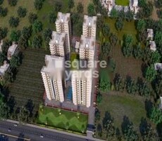 Pioneer Dreams Featured Image