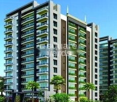 PNG Ocean Drive Featured Image