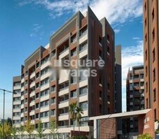 Prayosha Dream Featured Image