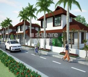 Sai Green Paradise