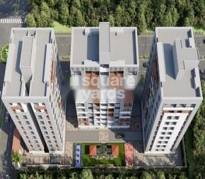 Savani Prayosha Orchid