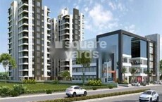 Shree Mega Royal Featured Image