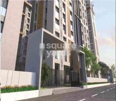 Silverstone Acacia Featured Image