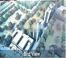 The Homes Featured Image