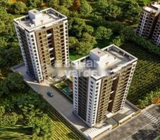 Vaibhav Prince Flora Featured Image