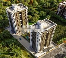 Vaibhav Prince Flora Featured Image