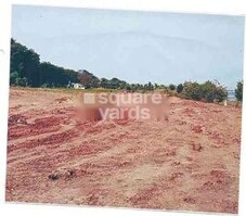 Vaikuth Mantra Luxuria Featured Image