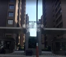 White Wings Bellacasaa Featured Image