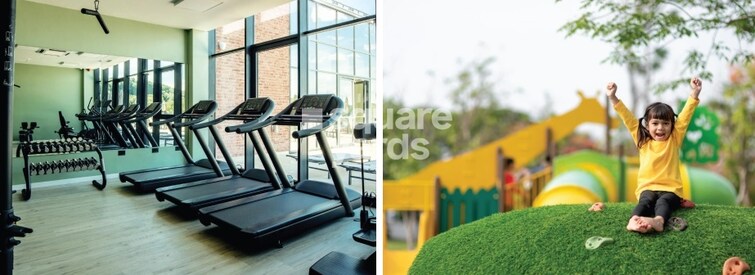 Ace Aristo Amenities-Features 2