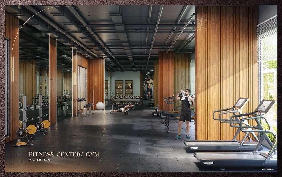 Ace Debonair Classic Gymnasium Image