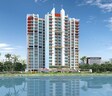ACE Homes