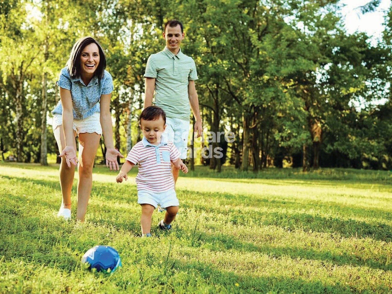 Acme Ozone Eucalyptia Greens Image