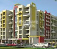 Amar Orchid