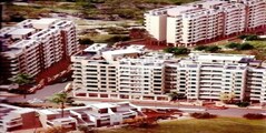 Ankita Daisy Gardens