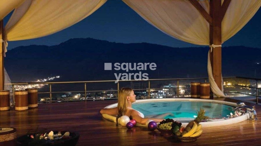 Auralis The Twins Amenities-Features 1