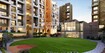 Concept Arena Amenities Features
