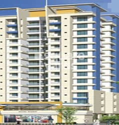 Cosmos County II Cosmos County II