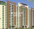 D V Shree Shashwat
