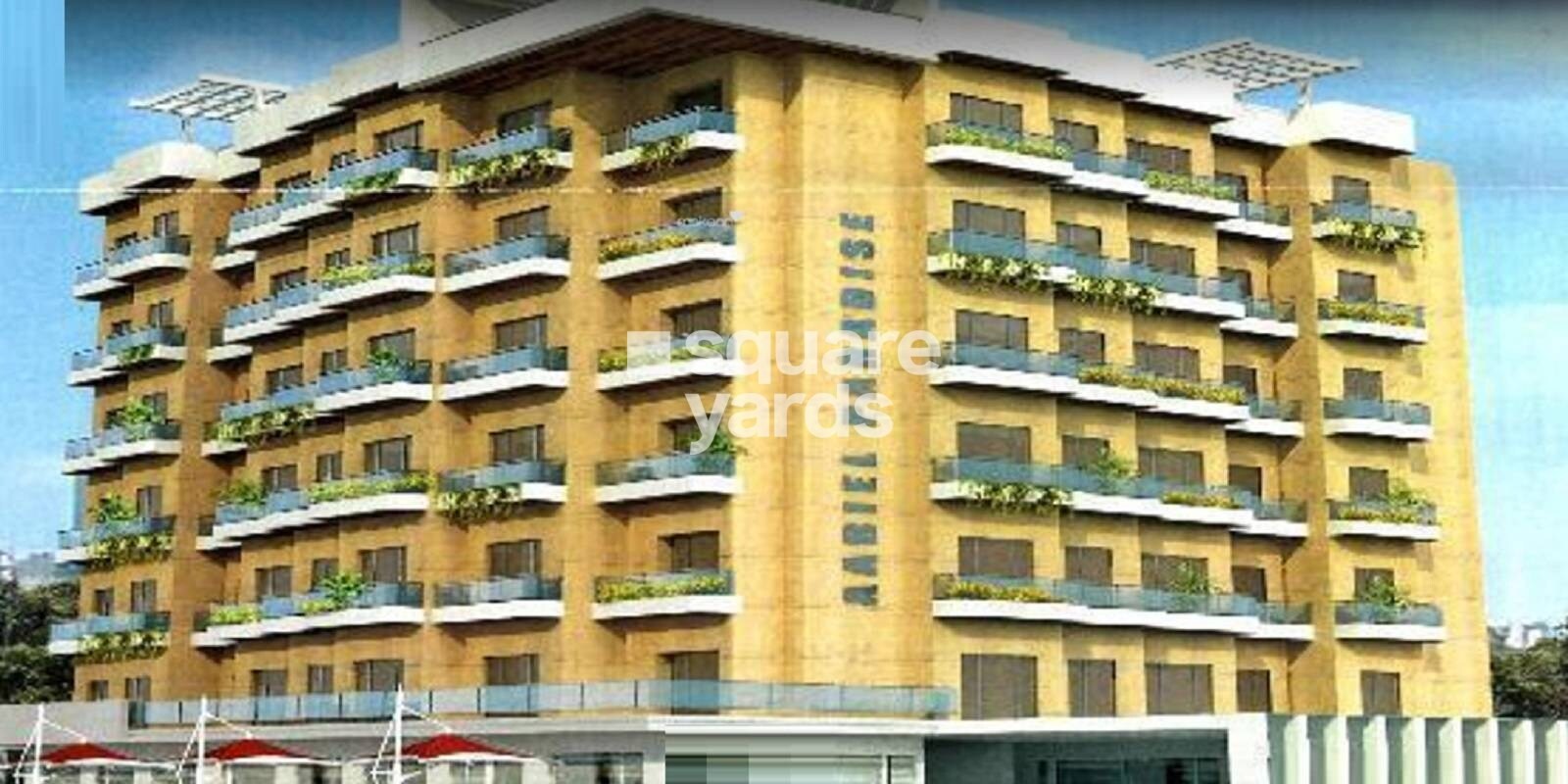 DAICHI Aabiel Paradise