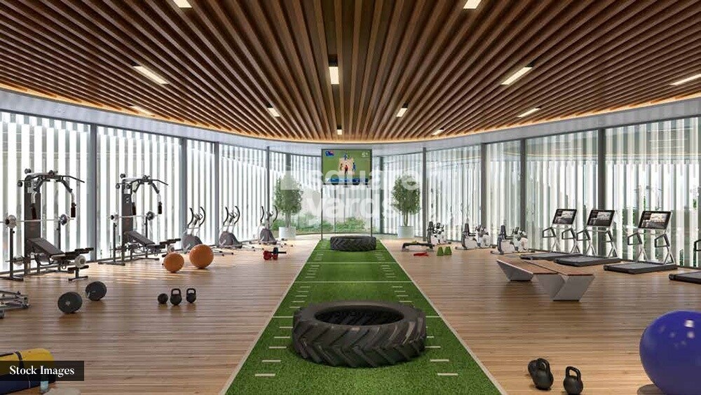 Damji Shamji Mahavir Spring Tulip Phase 1 Gymnasium Image