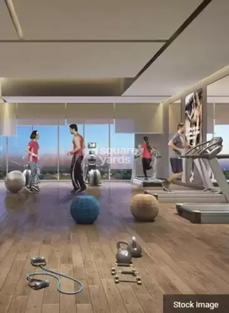 Dosti Greater Thane Gymnasium Image