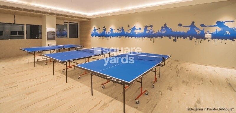 Dosti Planet North Emerald Amenities-Features 3