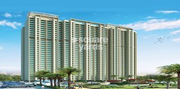 Dosti Planet North Onyx