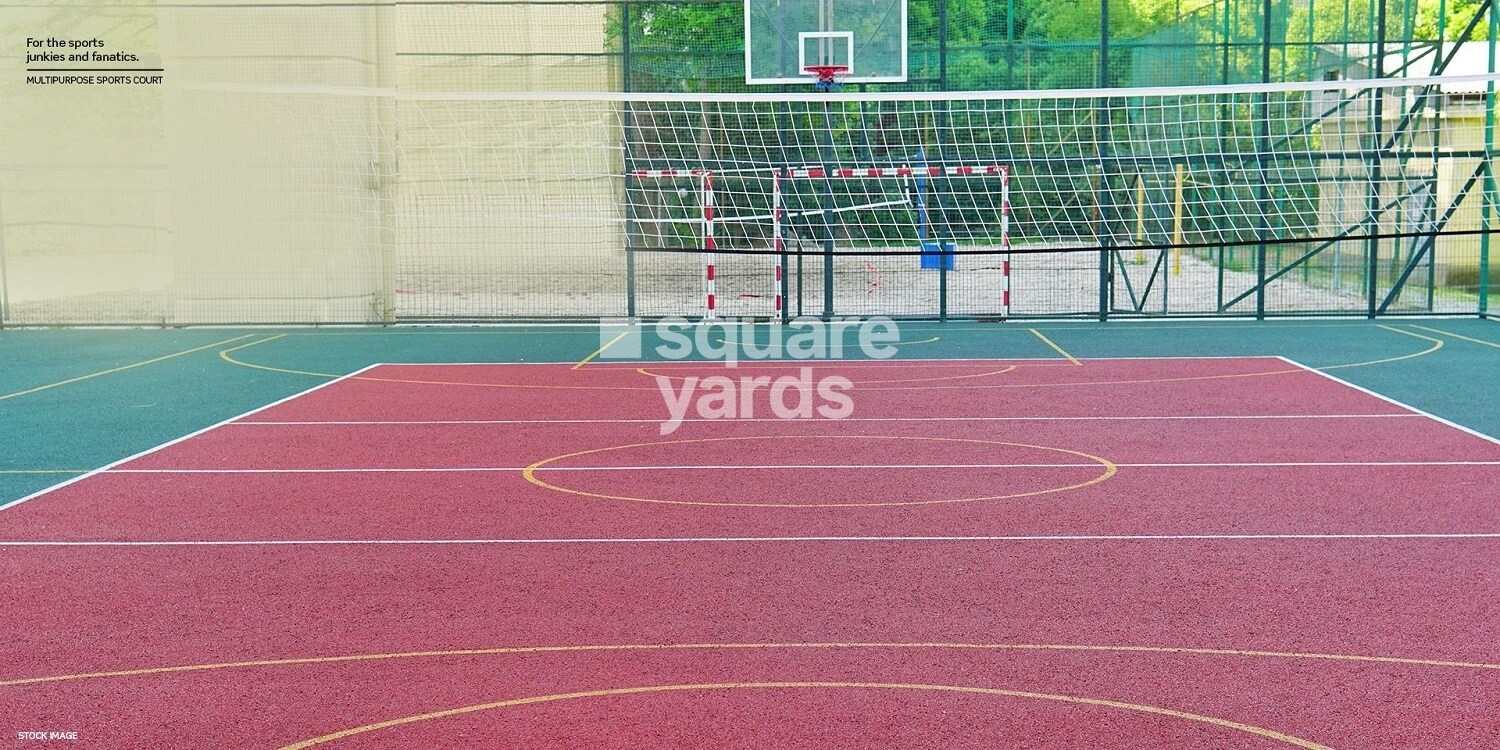 Dosti Planet North Sports facilities Image 4