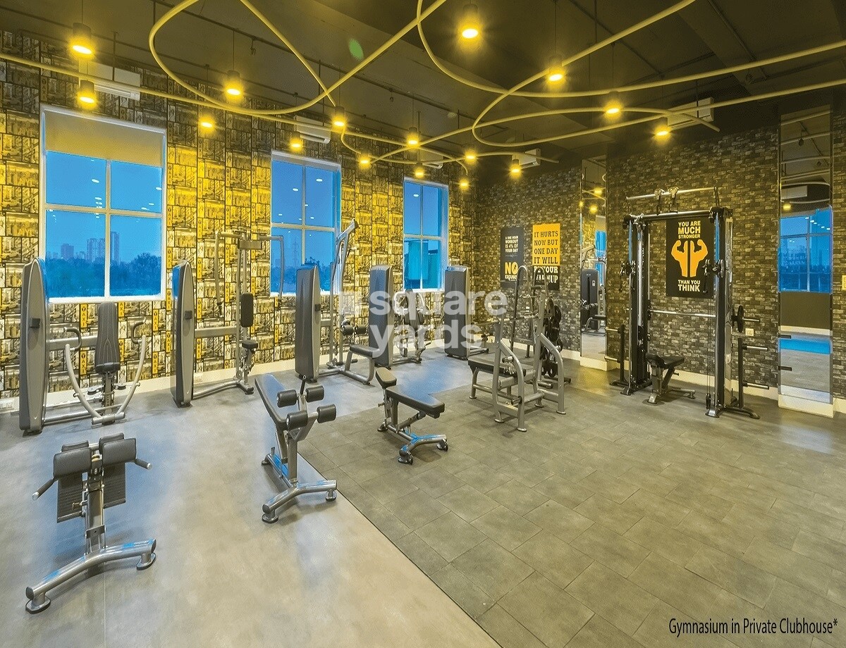 Dosti Planet North Ruby Gymnasium Image