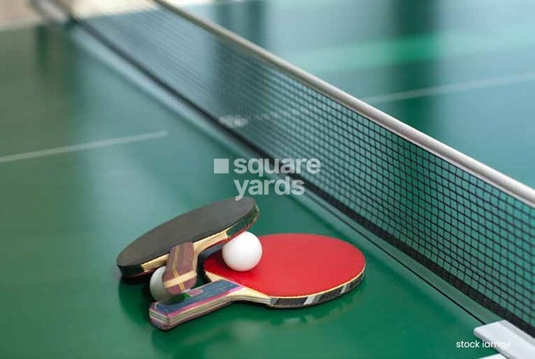 Dosti West County Sports facilities Image 4