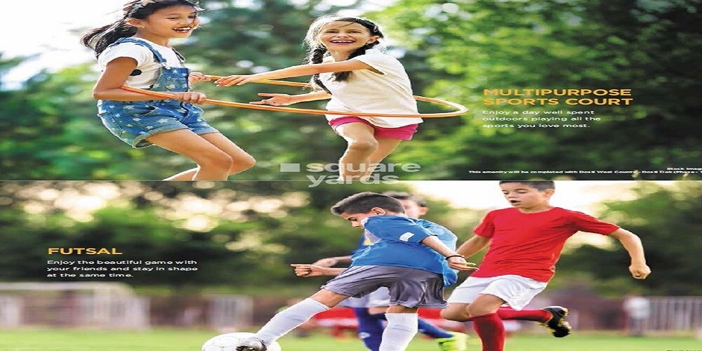 Dosti Willow Amenities-Features 2