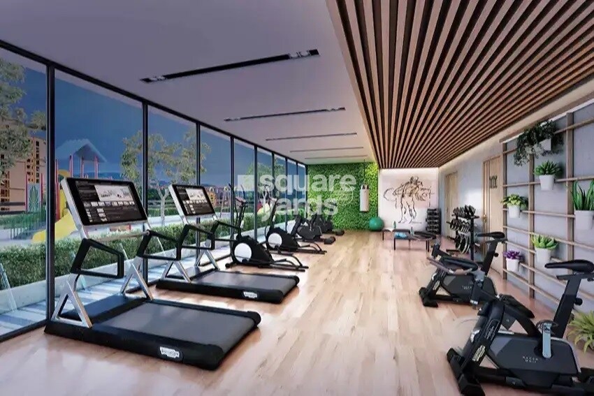 Dream Avalon Gymnasium Image