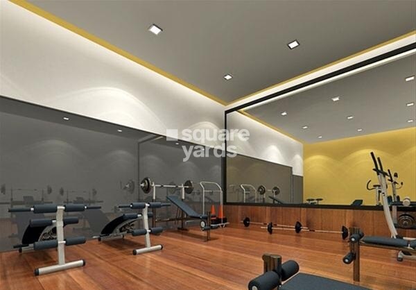 Everest Countryside Petunia Gymnasium Image